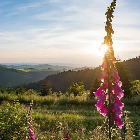 Waldhaus Foeckinghausen Hotel Bestwig
