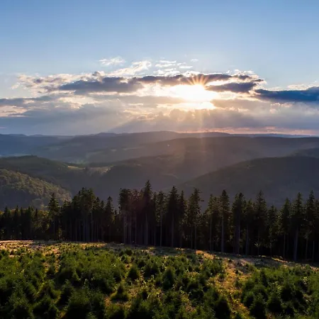 Waldhaus Foeckinghausen Hotel