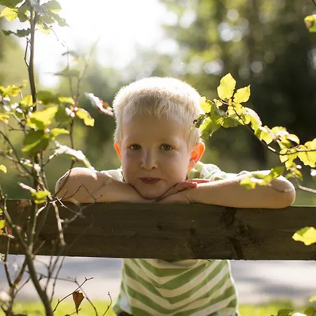 Waldhaus Foeckinghausen Ξενοδοχείο 3*