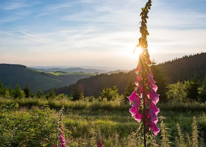 Waldhaus Foeckinghausen Hotel Bestwig