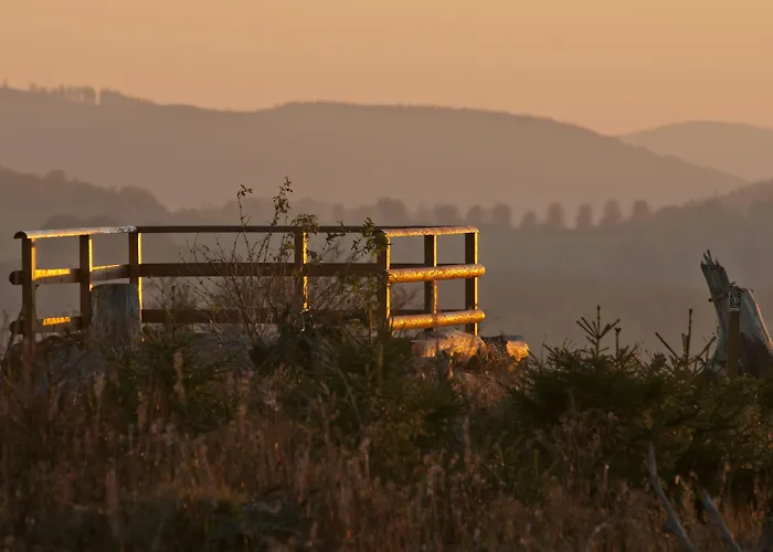 Waldhaus Foeckinghausen מלון 3*