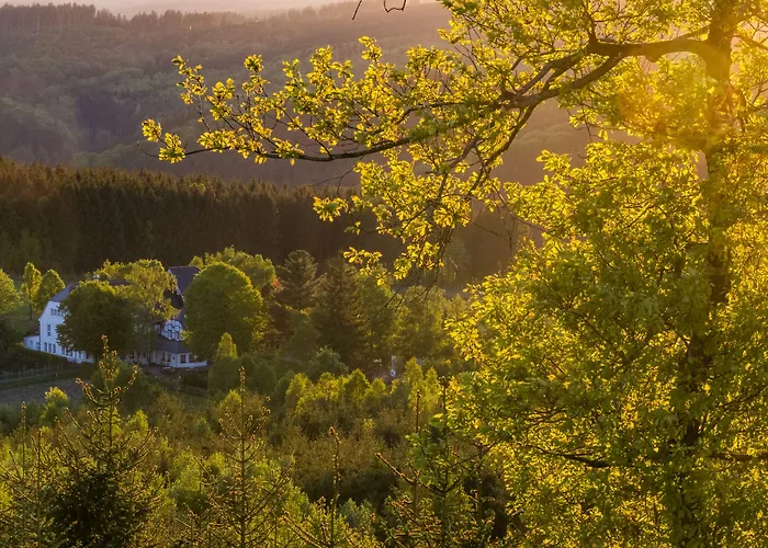 Waldhaus Foeckinghausen
