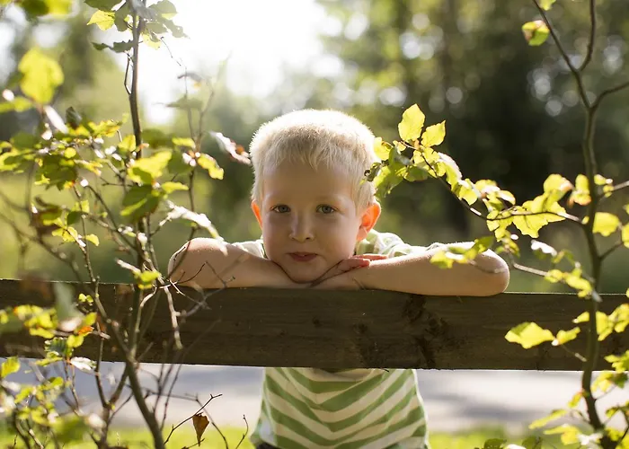 Waldhaus Foeckinghausen מלון 3*