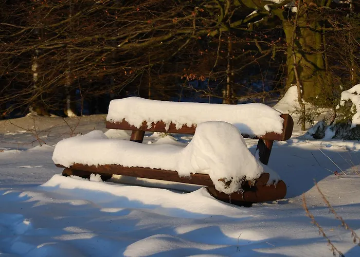 Hotel Waldhaus Foeckinghausen Bestwig